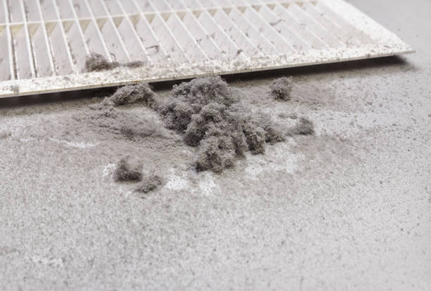 Best Ductwork Cleaning Services  in Newport, DE