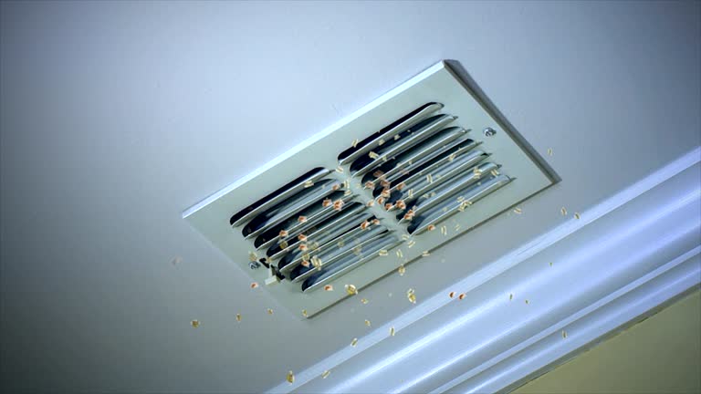 Best Commercial HVAC Duct Cleaning  in Newport, DE